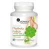 Methylo Folian Aliness