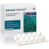 Adrenal-Intercell®