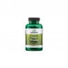 Ostropest Plamisty (Milk Thistle) 500 mg 100 kapsułek
